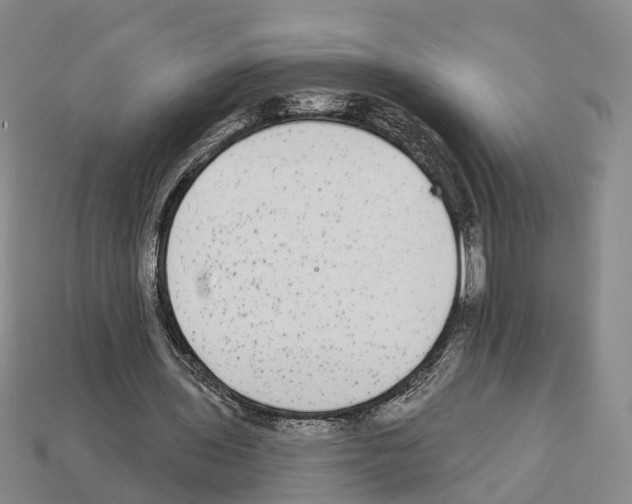 X0000112520435200909281020