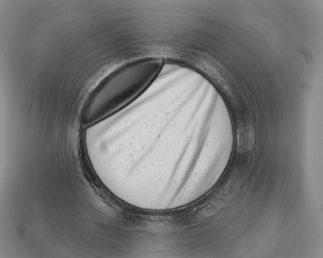 X0000112520436200909281020