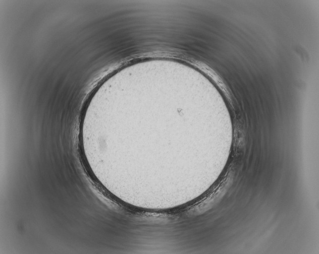 X0000112520437200909281020