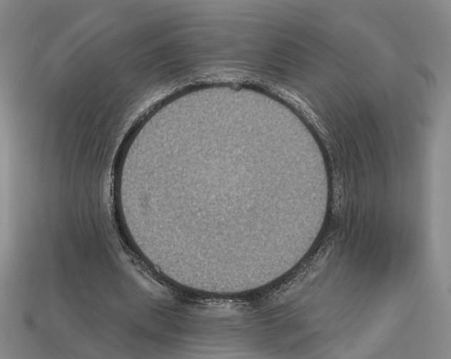X0000112520439200909281020