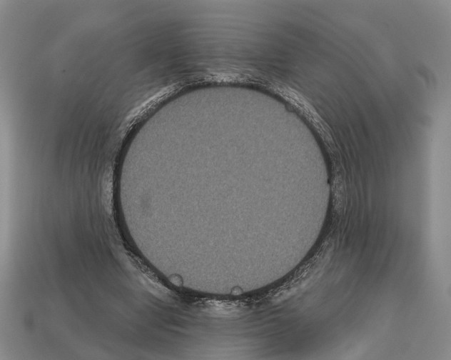 X0000112520442200909281020