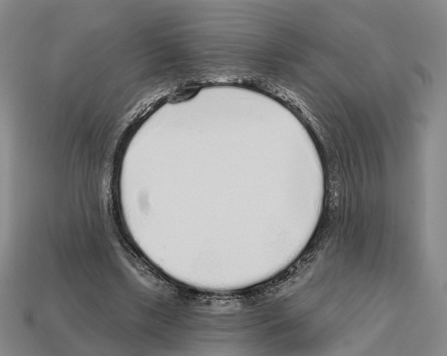 X0000112520443200909281020
