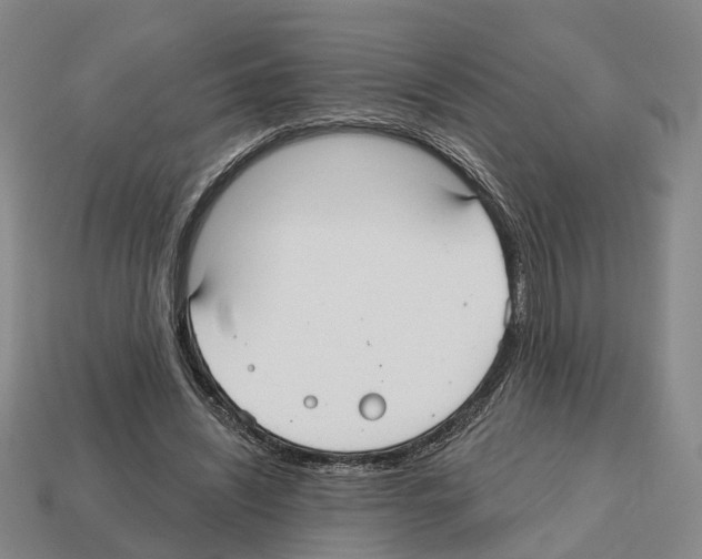 X0000112520444200909281020