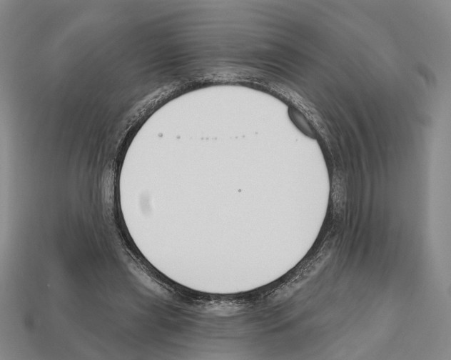 X0000112520445200909281020
