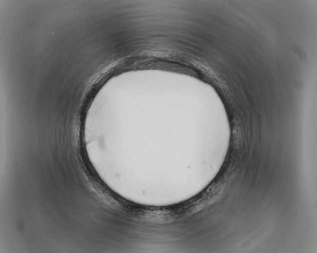 X0000112520446200909281020