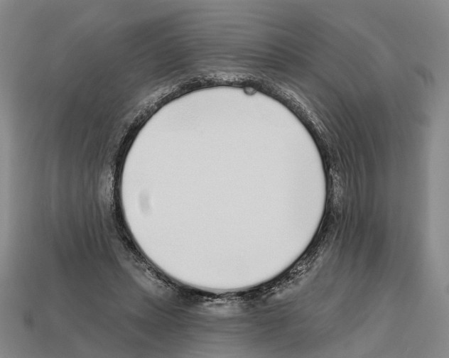 X0000112520447200909281020