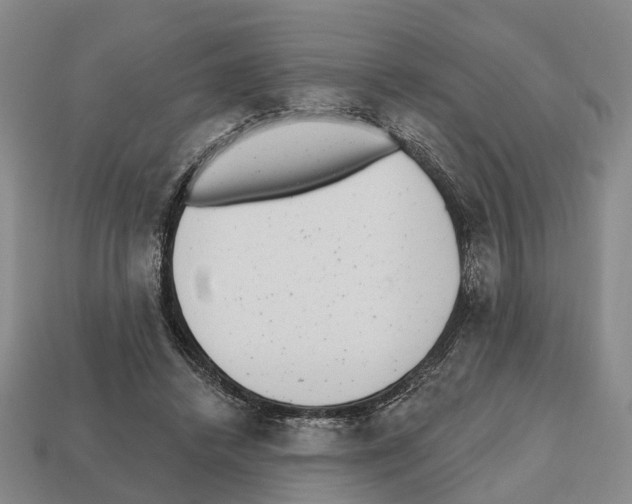X0000112520448200909281020