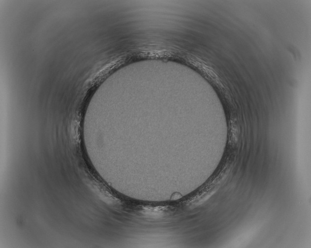 X0000112520450200909281020