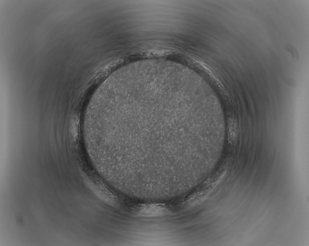 X0000112520451200909281020