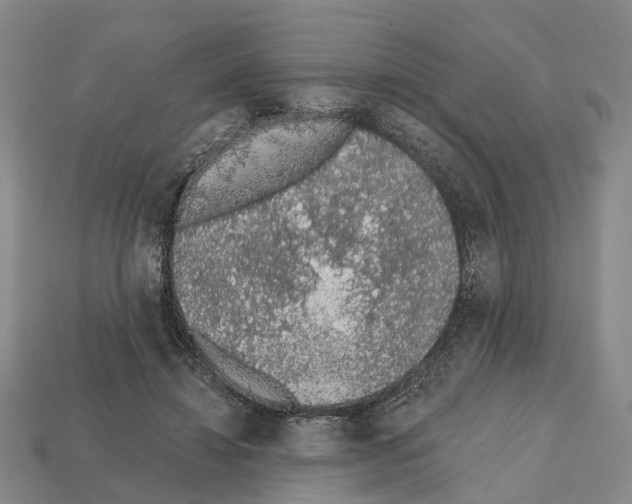 X0000112520452200909281020
