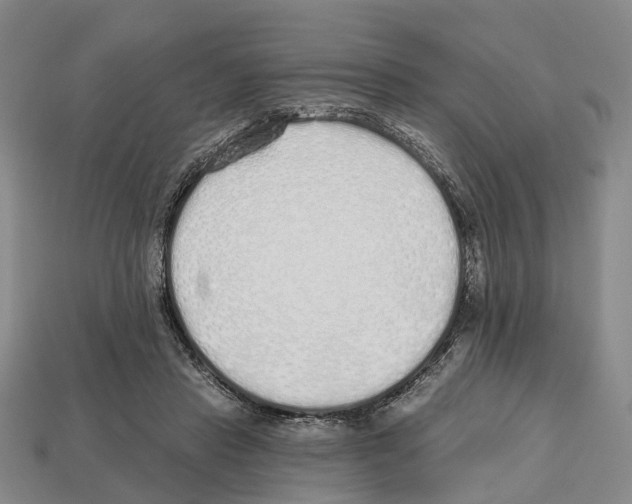 X0000112520453200909281020