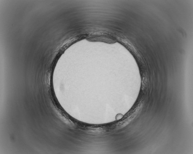 X0000112520454200909281020