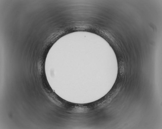 X0000112520455200909281020