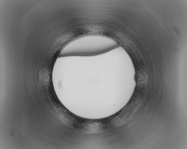 X0000112520456200909281020