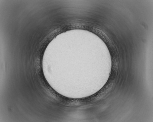 X0000112520457200909281020