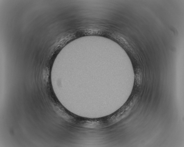 X0000112520458200909281020