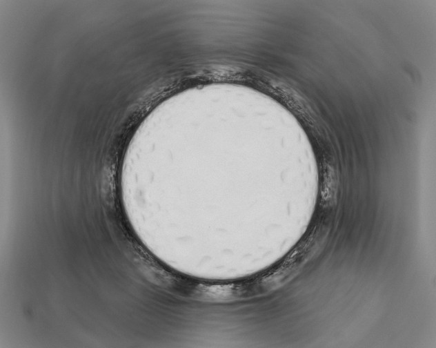 X0000112520461200909281020