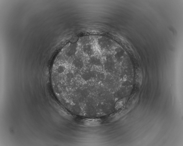 X0000112520465200909281020