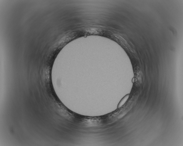 X0000112520466200909281020