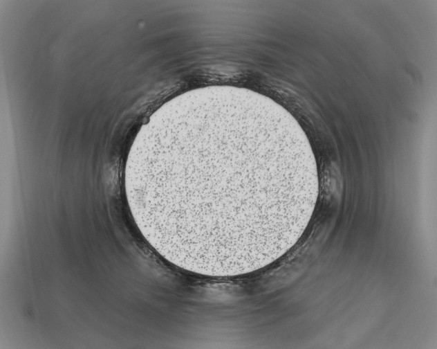 X0000112520468200909281020