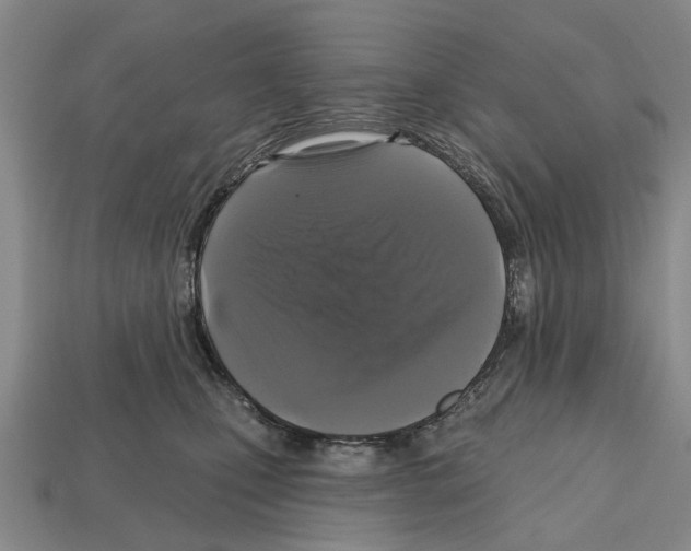 X0000112520471200909281020