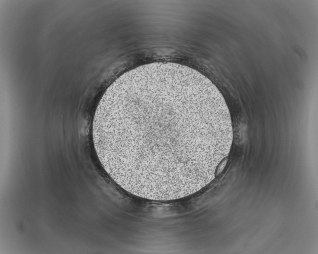 X0000112520472200909281020