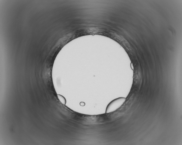X0000112520473200909281020
