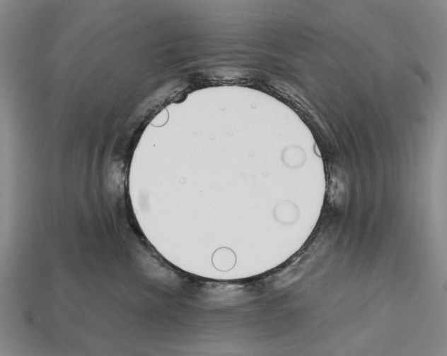 X0000112520476200909281020