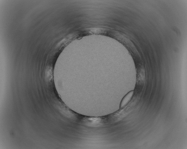 X0000112520478200909281020