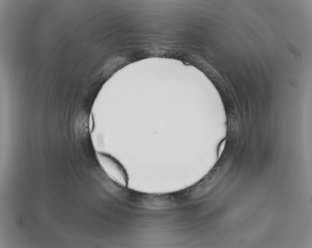 X0000112520479200909281020