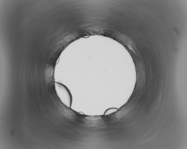 X0000112520480200909281020