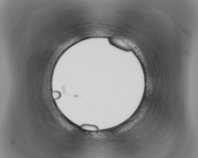 X0000112520481200909281020