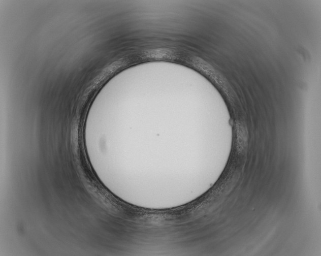 X0000112520482200909281020