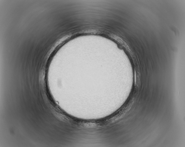 X0000112520483200909281020