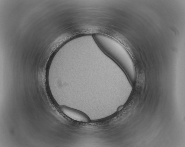 X0000112520485200909281020