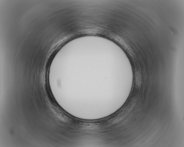 X0000112520486200909281020