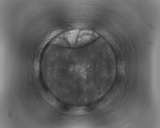 X0000112520488200909281020