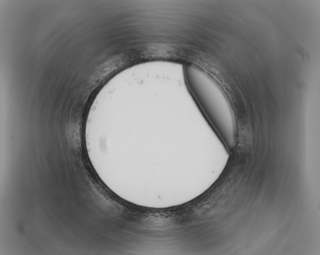 X0000112520489200909281020