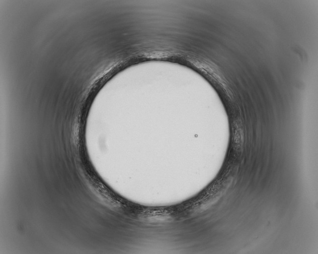 X0000112520491200909281020