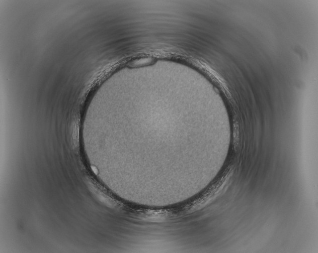 X0000112520493200909281019