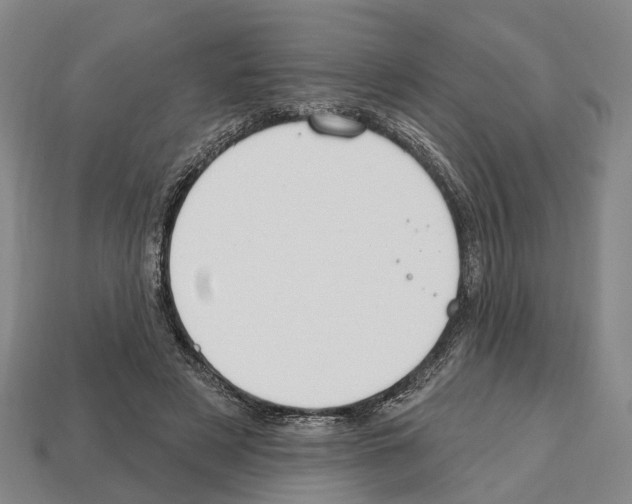 X0000112520497200909281019