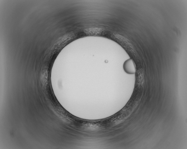X0000112520498200909281019
