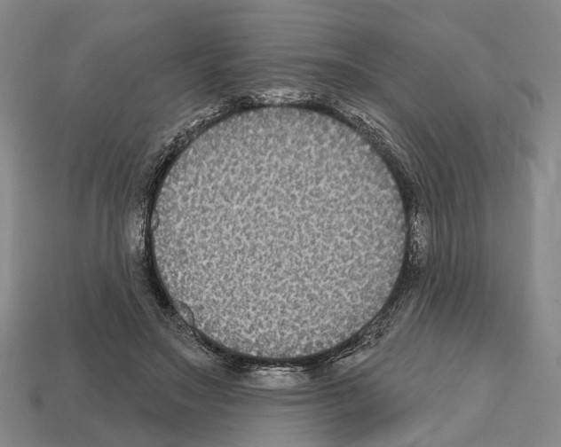 X0000112520499200909281019