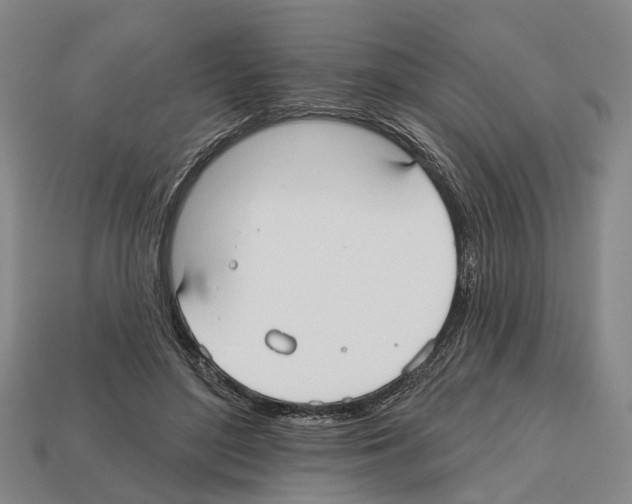 X0000112520500200909281019