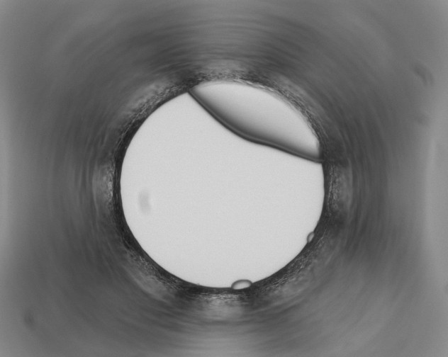 X0000112520501200909281019