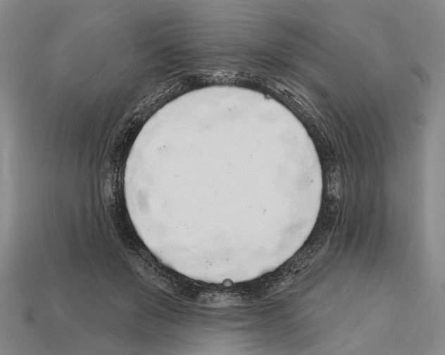 X0000112520503200909281019