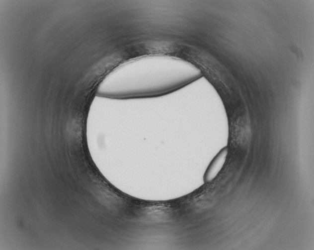 X0000112520505200909281019