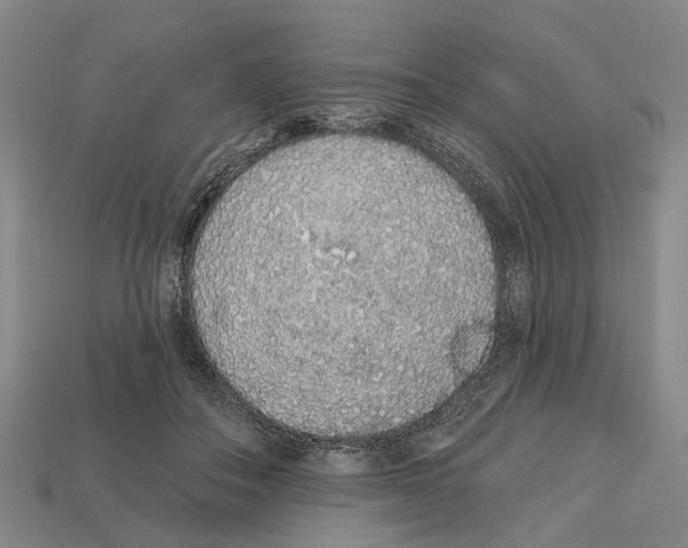 X0000112520506200909281019