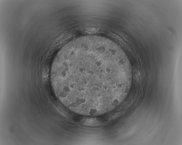 X0000112520507200909281019