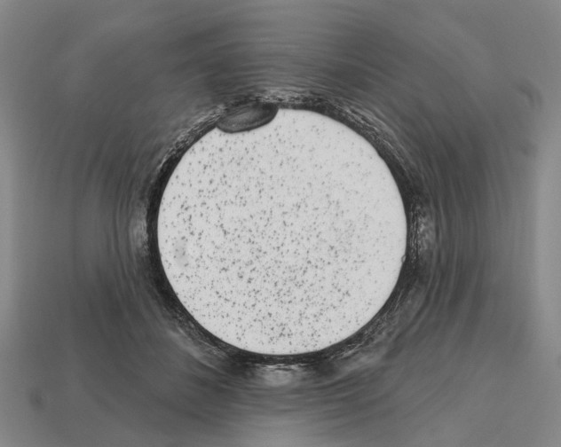 X0000112520508200909281019